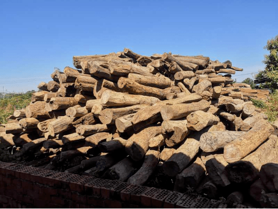 [衢州木炭批发市场] 衢州哪里有旧木材市场