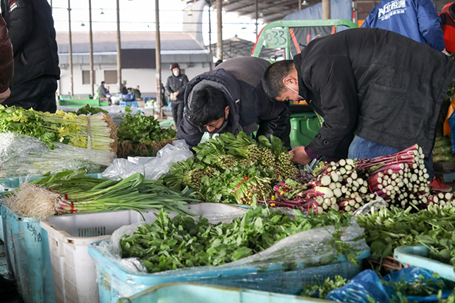 [杭州蔬菜批发市场是什么] 杭州蔬菜批发市场是什么区域